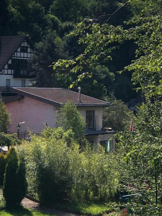 Ferienhaus Waldbaden Im Nationalpark Eifel- Am Bach Schleiden Eksteriør billede