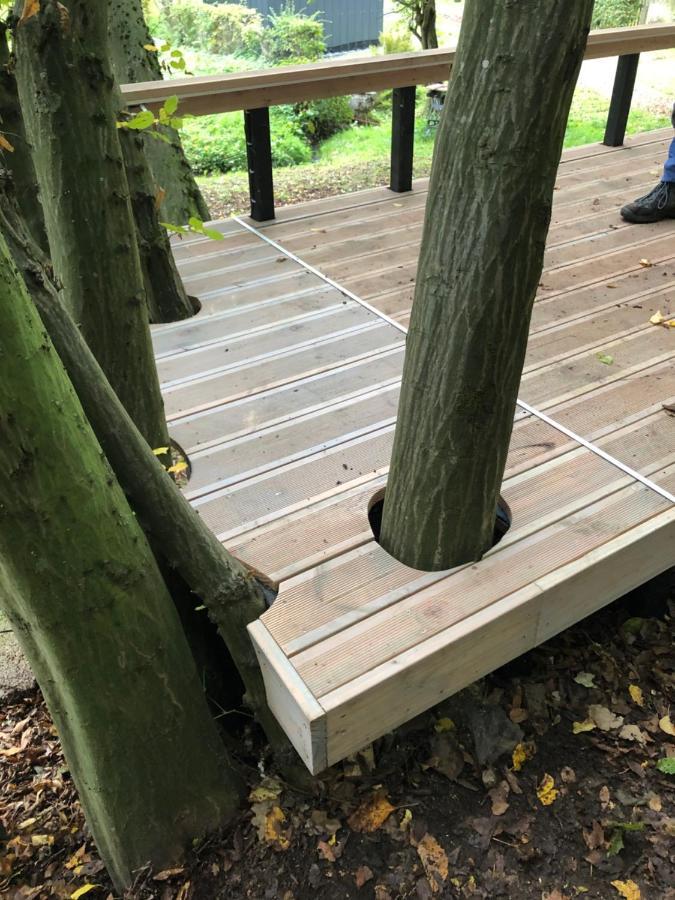 Ferienhaus Waldbaden Im Nationalpark Eifel- Am Bach Schleiden Eksteriør billede