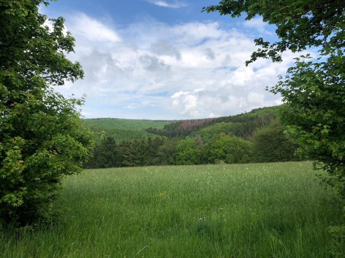 Ferienhaus Waldbaden Im Nationalpark Eifel- Am Bach Schleiden Eksteriør billede