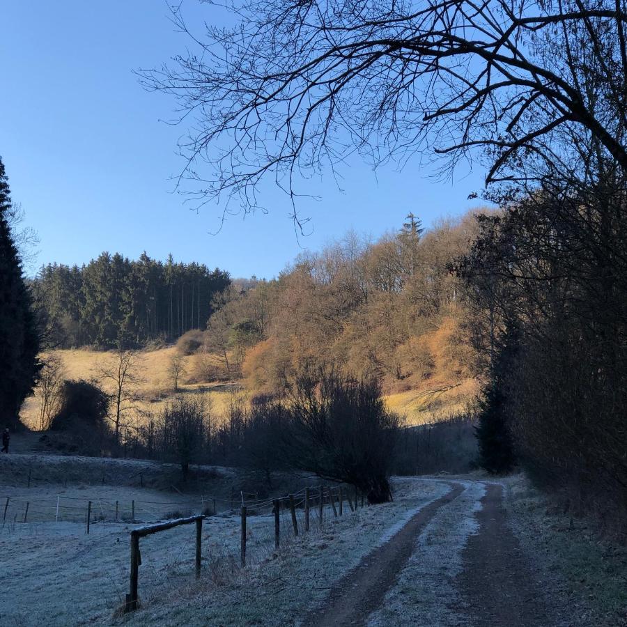 Ferienhaus Waldbaden Im Nationalpark Eifel- Am Bach Schleiden Eksteriør billede