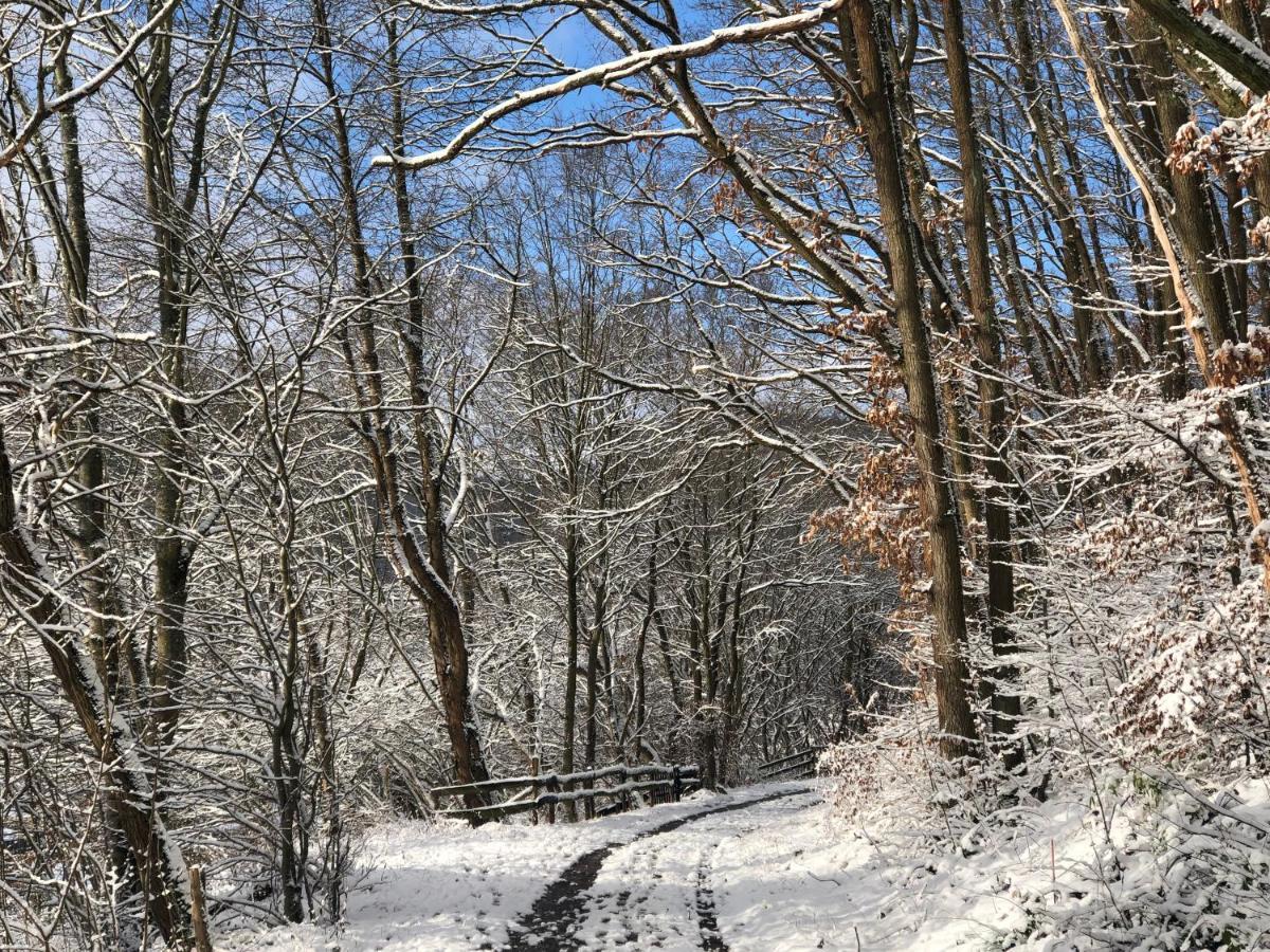 Ferienhaus Waldbaden Im Nationalpark Eifel- Am Bach Schleiden Eksteriør billede