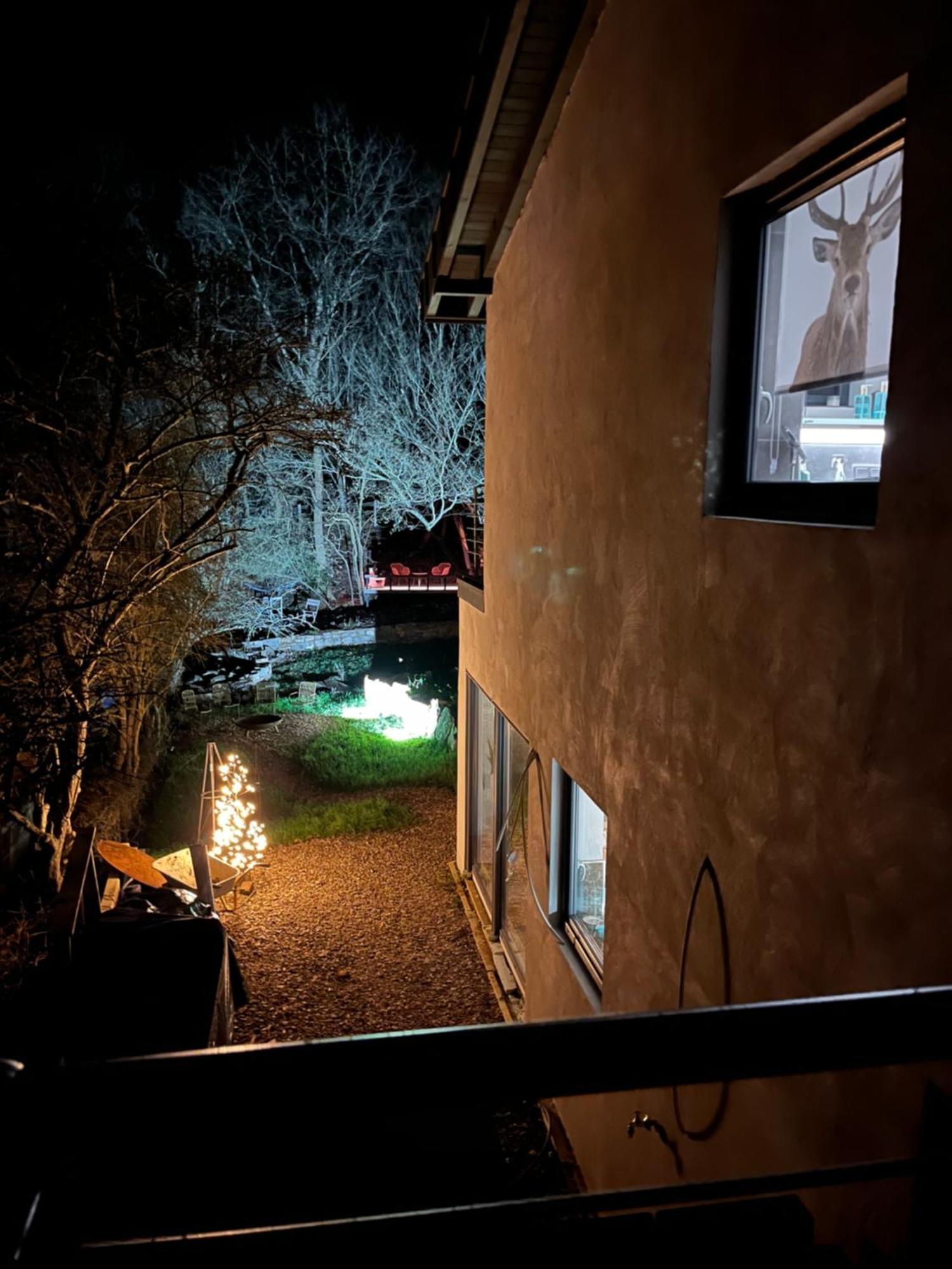 Ferienhaus Waldbaden Im Nationalpark Eifel- Am Bach Schleiden Eksteriør billede